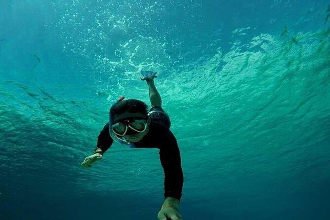 Bali Snorkeling Blue Lagoon and Tanjung Jepun All Included - What Makes This Tour Stand Out