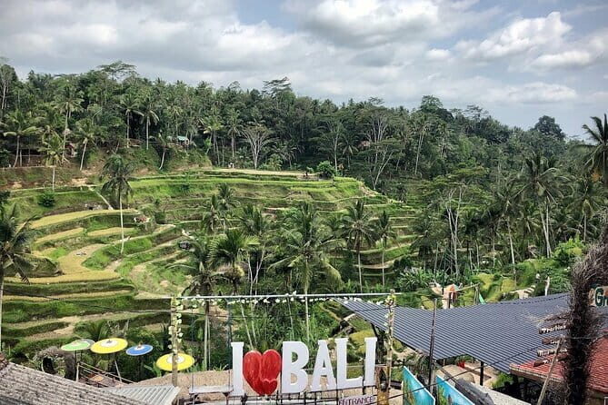 Bali Swing Packages and Kintamani Mt Batur Volcano View - Practical Details and What You Get