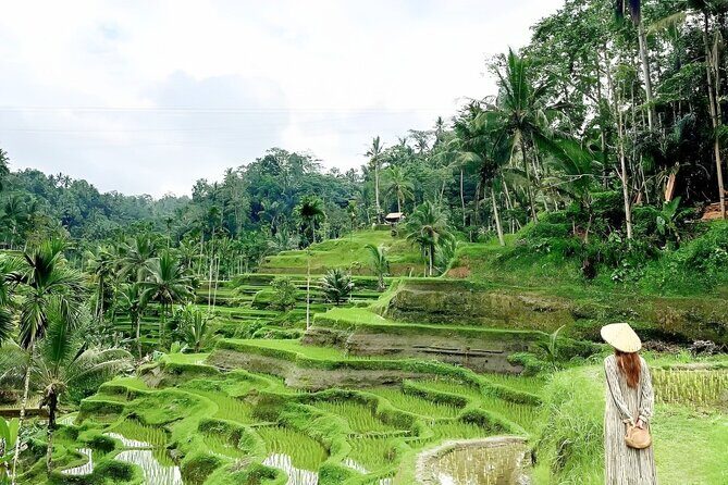 Bali Tour : Best Attractions in Ubud with Rice Terrace - Who Is This Tour Best For?