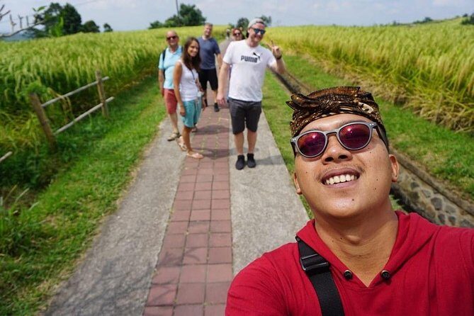 Bali Tour Customized with Private Tour Driver - Transport, Timing, and Flexibility