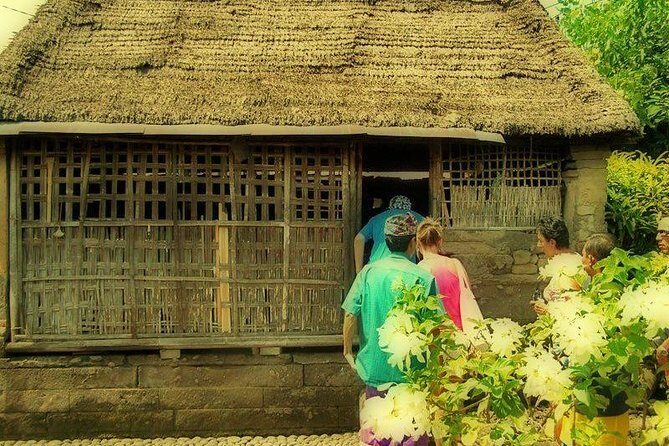 Bali Ubud & Kintamani Volcano Tour -All Inclusive - Practical Details and Tips