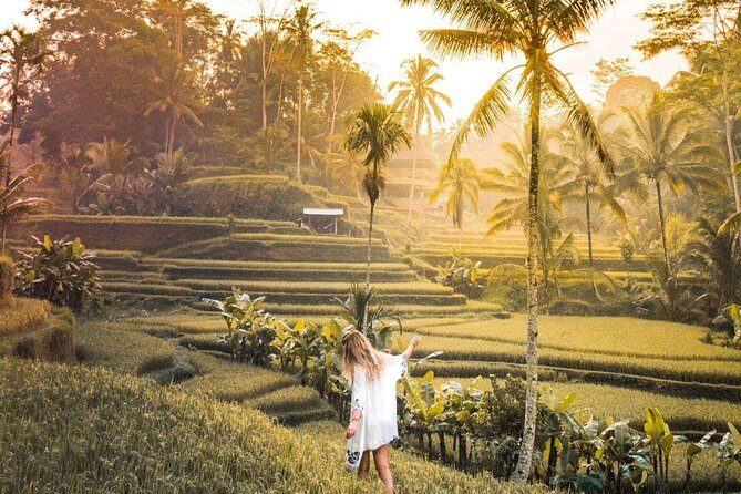Bali Ubud private Tour with Ubud Bali Driver - FREE WIFI - Authenticity, Comfort, and Value