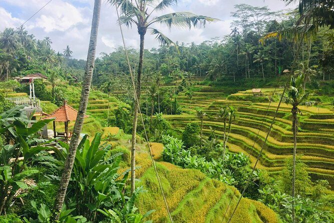 Bali Ubud Tour - Why Travelers Love This Tour