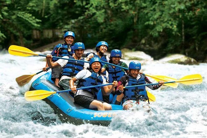 Bali Water Rafting with Lunch & Private Transfer - Who Should Consider This Tour?