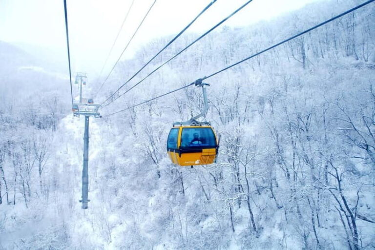 Balwangsan Cable Car & Samyang Ranch One Day Tour - Who Would Love This Tour?
