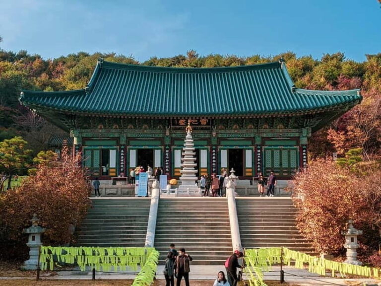 Balwangsan Day Tour: Forest Trails & Scenic Highland Views - Key Points