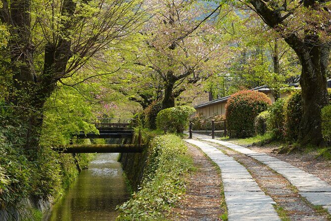 Bamboo Artistry, Zen Serenity & with Ginkaku-ji in Kyoto - Transportation and Group Dynamics