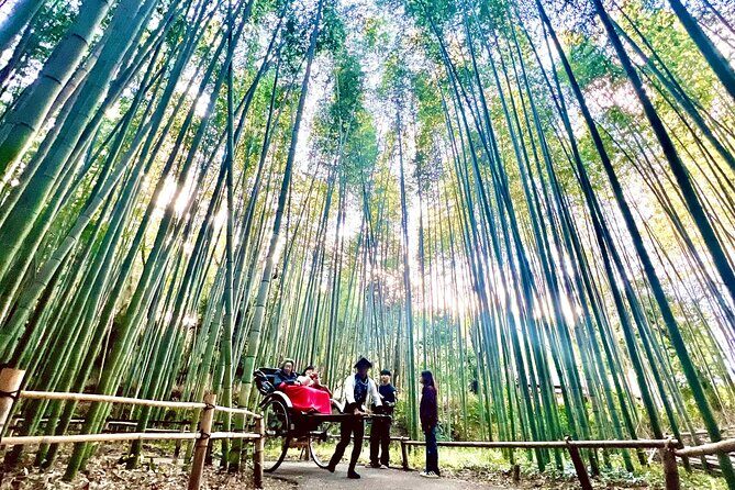 Bamboo Grove Temple and Garden Views Tour - What You Can Expect: A Step-by-Step Breakdown