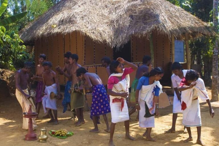 Bamboo Village & Cycling Tour in Wayanad - Why This Tour Offers Real Value