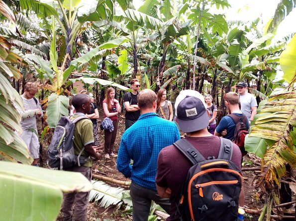 Banana beer brewery - Authentic Experience and Local Insights