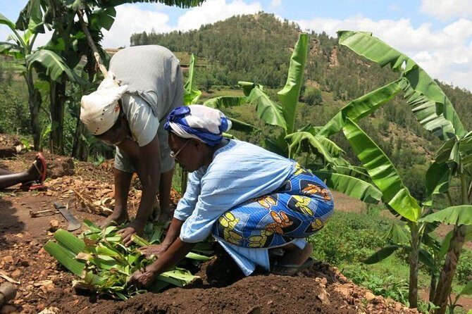 Banana Juice Making at a Local Community - Practical Details and Value