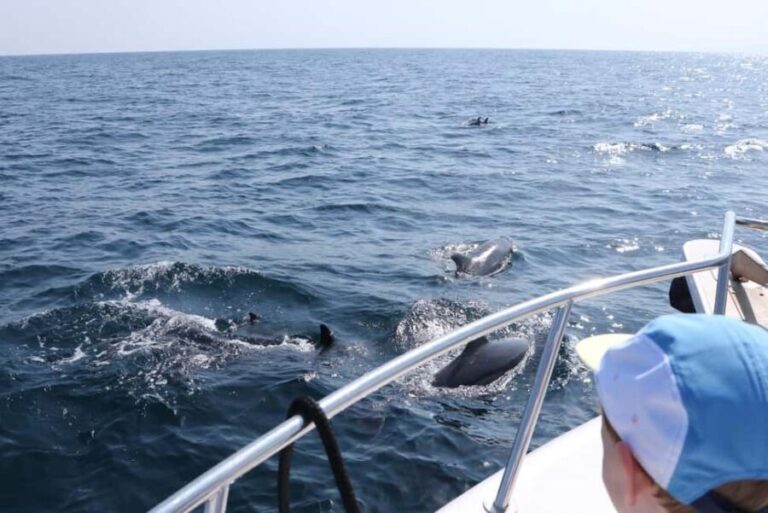 Bandar Al Khayran Jorney: Group Tour with Snorkeling - Practical Details: Price, Group Size, and Comfort