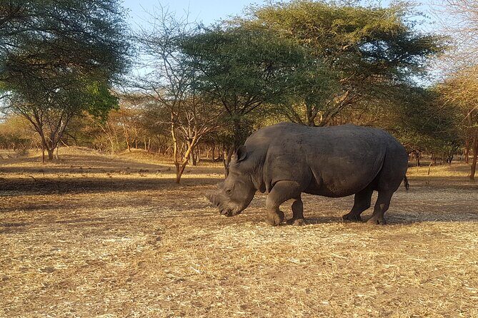 Bandia Park Safari (Minimum 2 Participants) - What Travelers Love