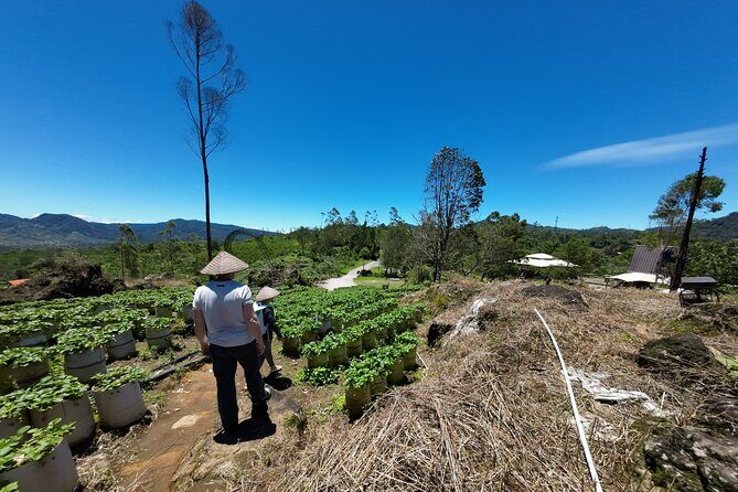 Bandung Volcano Sightseeing and Hot Spring Private Tour - The Sum Up