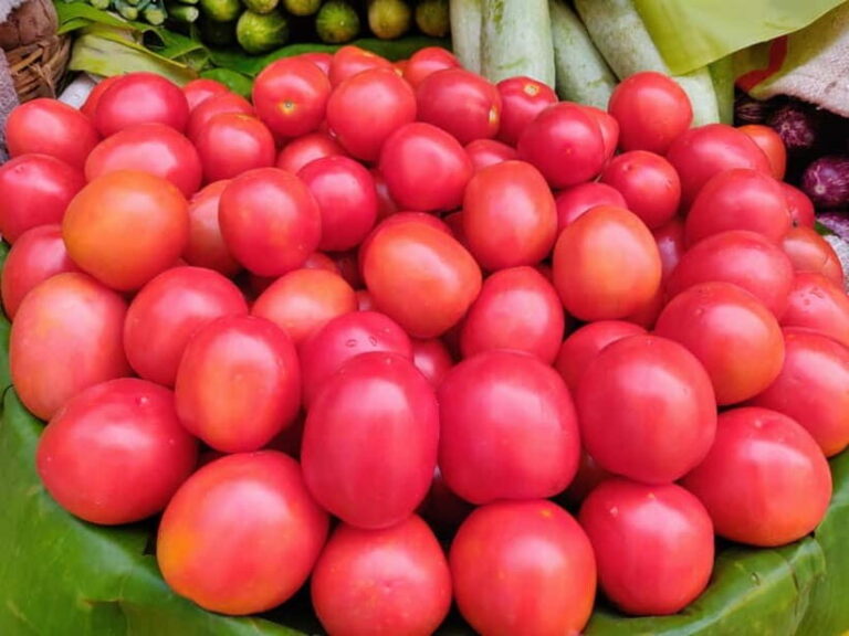 Bangalore: Food Street Walk and a colourful bazaar - FAQ