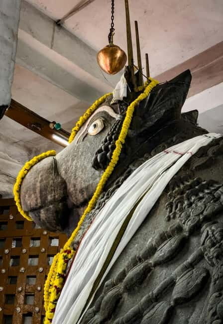 Bangalore: Sacred Bull & Culture Walk in Basavanagudi - FAQ