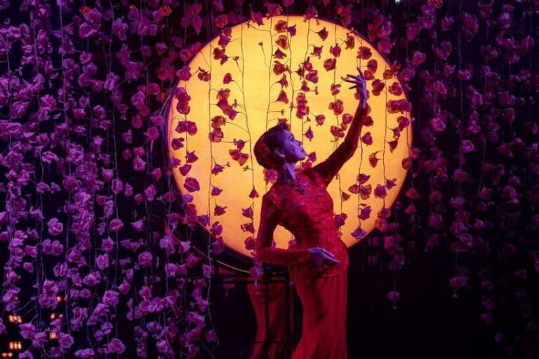 Bangkok: Calypso Cabaret Show with Thai Set Dinner - A Detailed Look at the Bangkok Calypso Cabaret Experience