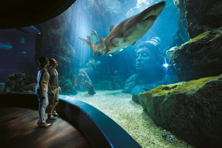 Bangkok: SEA LIFE Bangkok Ocean World Entry Ticket - Who Will Enjoy SEA LIFE Bangkok Ocean World?