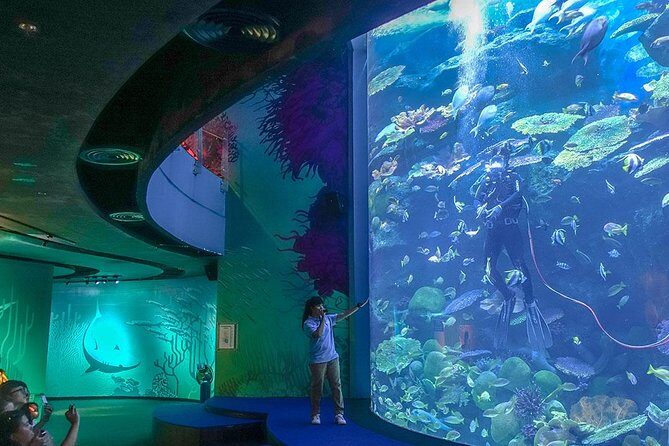 Bangkok SEA LIFE & Madame Tussauds Combo with Hotel Transfers - Analyzing the Value