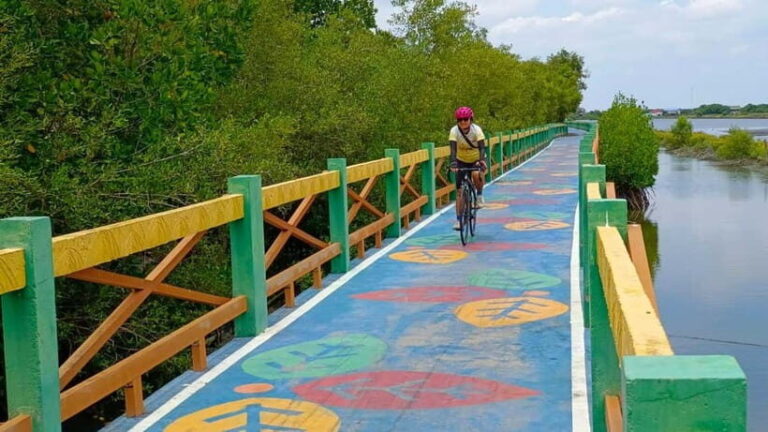 Bangkok: Seaside Views Cycling Tour via Mangrove Tunnel - Exploring the Route in Detail