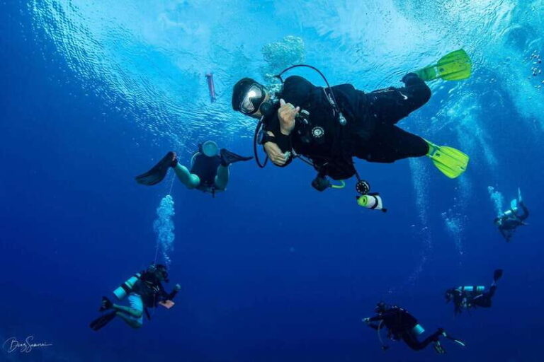 Bantayan Island: Fundive Scuba Adventure - What to Expect: An Underwater Adventure