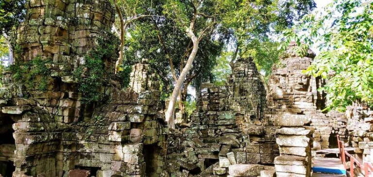 Banteay Chhmar Temple & Silk Farm Day Trip from Siem Reap - The Angkor Silk Farm Experience