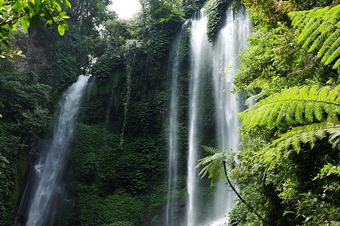 Banyuwana & Banyumala Waterfalls Tour (Private & All-Inclusive ) - The Sum Up