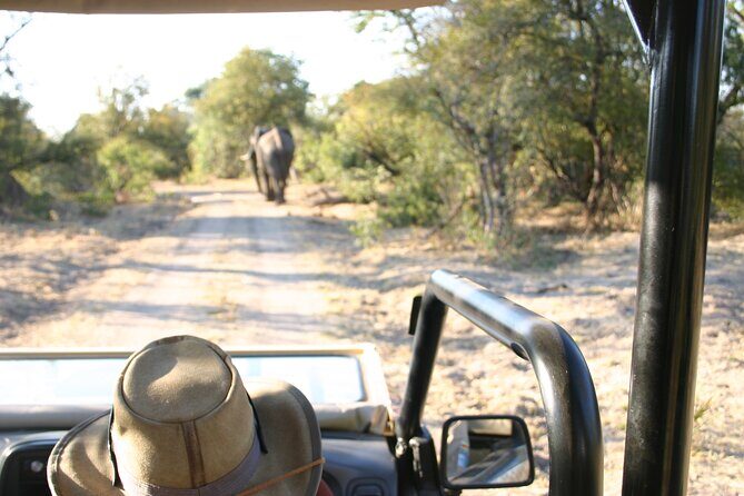 Baobab-Sunrise-Sunset-Vulture-Moonlight Safaris, 4 Options - The Four Safari Options