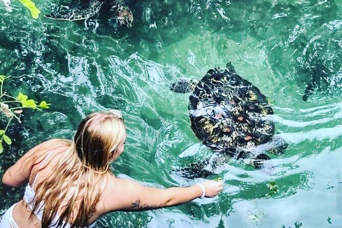 Baraka Aquarium and Dolphin Sightseeing with Sunset Cruise - A Closer Look at the Itinerary