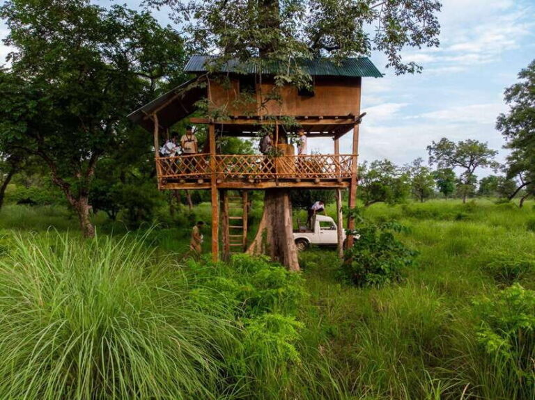 Bardiya National Park: Treehouse Stay with Wildlife Safari - Deep Dive into the Itinerary