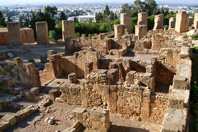 Bardo Museum with Medina, Carthage and Sidi Bou Private Tour - A Full-Day Tour of Tunisian Treasures
