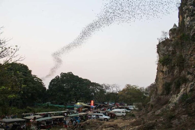 Battambang Private Full-Day Tour Pick up from Siem Reap - Practical Tips for the Tour