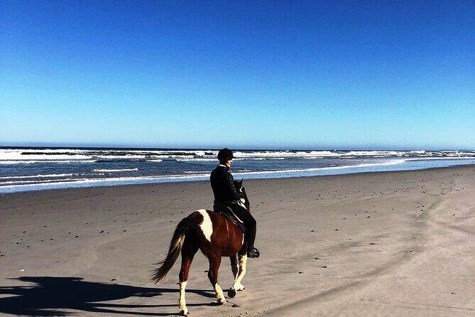 Beach Horse Ride in Yzerfontein, Western Cape - Who Will Love This Experience?