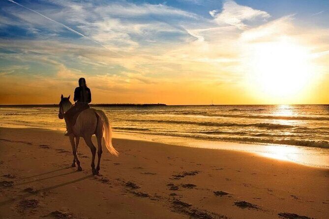 Beach Horse Riding At Sunset In Phuket - Pricing and Value: What’s the Real Deal?