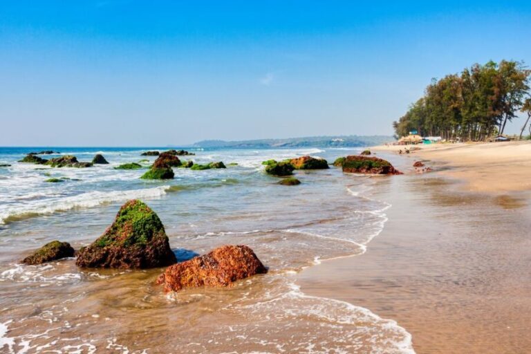 Beautiful Goa Beach Tour - What the Tour Tells You About Goa