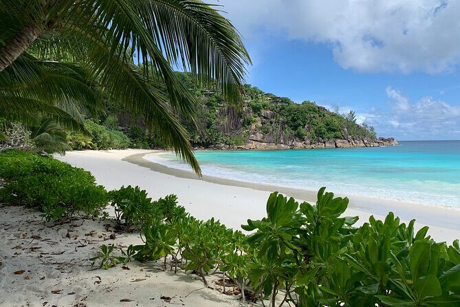 Beautiful island tour 5-6 hours | Mahé, Seychelles | Private Tour - Authentic Experiences and Practical Insights