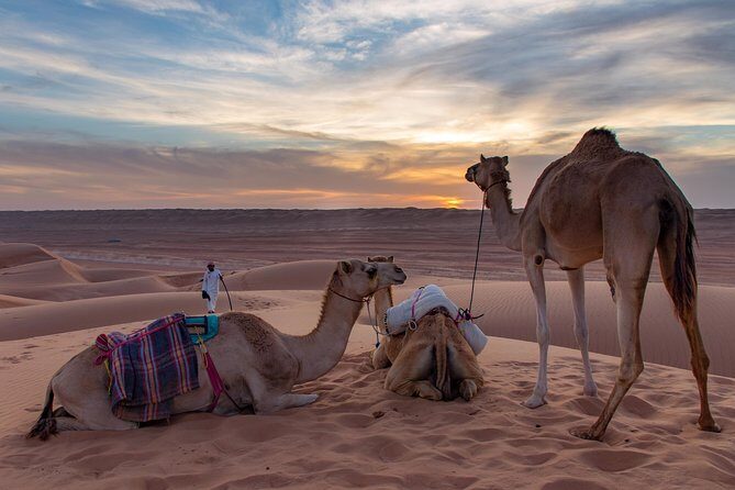 Bediyah: Under the Arabian starry sky - looking at the stars - Who Should Consider This Tour?
