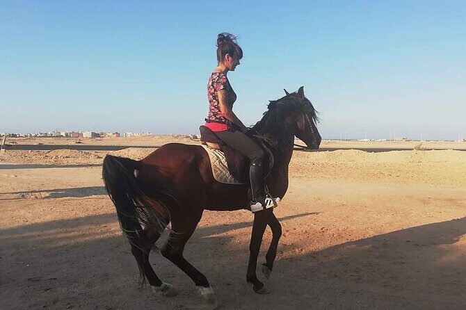 Bedouin Dinner, Egyptian Show and Horse Ride tour 1 Hour - Sharm El Sheikh - The Experience: Pros and Cons