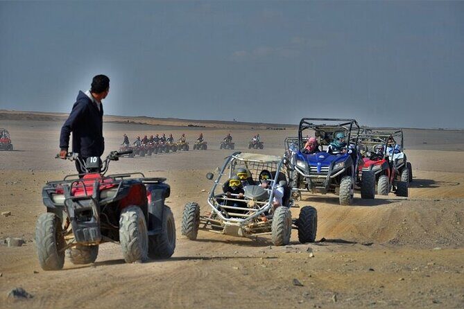 Bedouin Village & Buggy Car Safari Desert Tour in Sharm ElSheikh - The Bottom Line