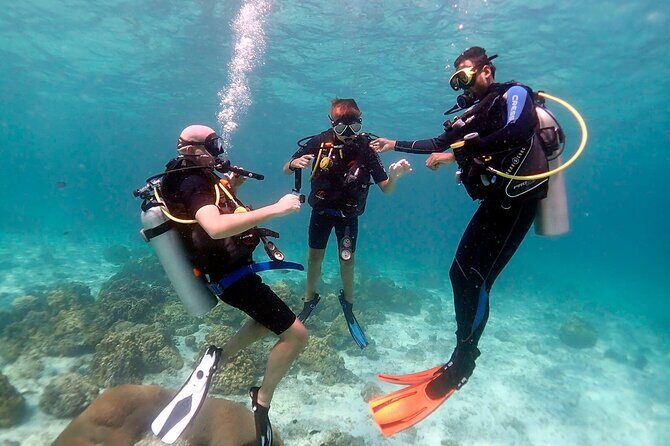 Beginner Scuba Dive 2 diving Stops & Lunch Boat Trip - El Quseir - Authentic Feedback from Participants