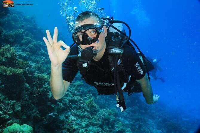 Beginners Scuba Diving Boat Trip With Equipment & lunch -Hurghada - Who Should Consider This Tour?