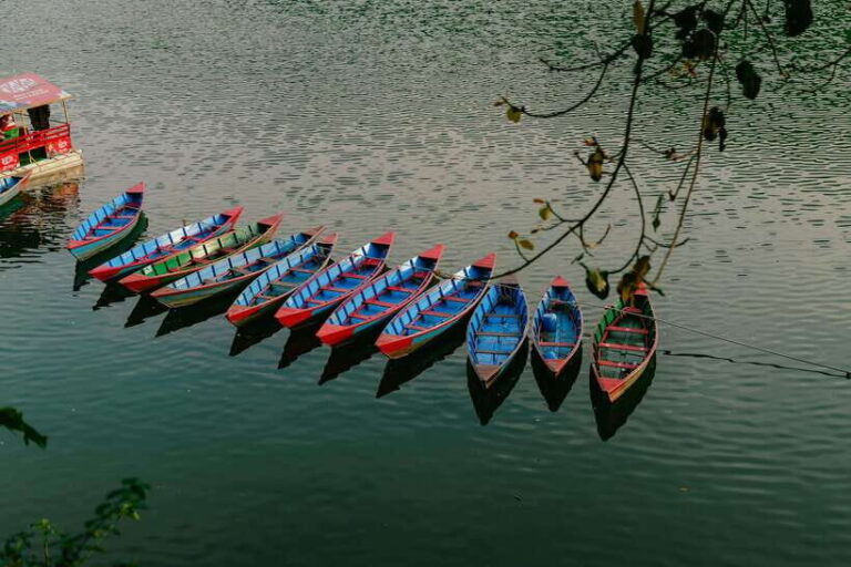Begnas Lake Freshwater Fish Hunt & Culinary Experience - The Boat Ride: A Quiet Passage on Begnas Lake