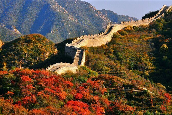 Beijing Airport Layover Forbidden city Great Wall Private Tour - What Makes This Tour Stand Out?