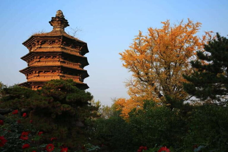 Beijing Buddhism Attractions Feature Day TourWith Options - Cost and Value