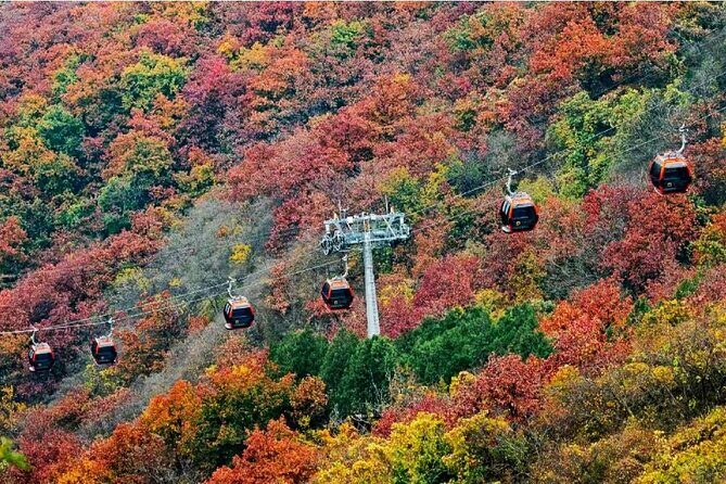 Beijing Great Wall Private Day Tour from Shanghai by Bullet Train - What’s Included and What’s Not