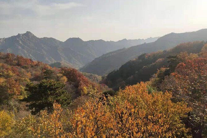 Beijing Mutianyu Great Wall and Tea House with English Driver - The Comfort and Convenience of Private Transport