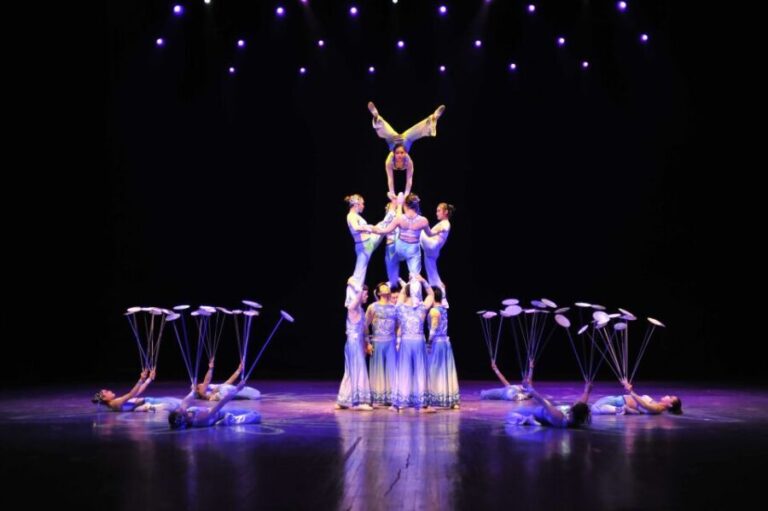 Beijing: Night Tour of Acrobatics Show Including Transfer - Who Should Consider This Tour?