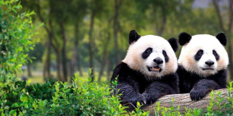 Beijing Private City Tour by Subway with Various Options - Itinerary Options and Highlights