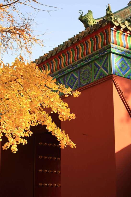 Beijing: Temple of Earth ticket; Serene, Majestic, Ancient - Practical Tips for Visiting