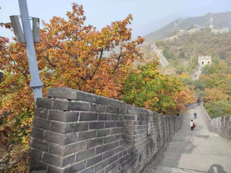 Beijing:Mutianyu Great Wall Private Trip with English Driver - The Experience: A Closer Look